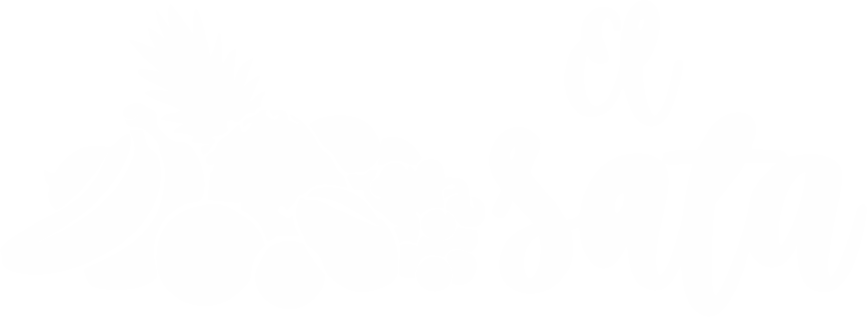 Sponsor 6