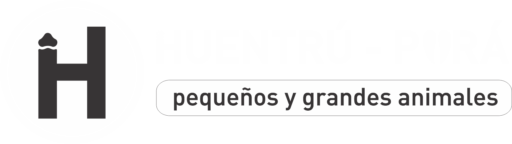 Sponsor 8